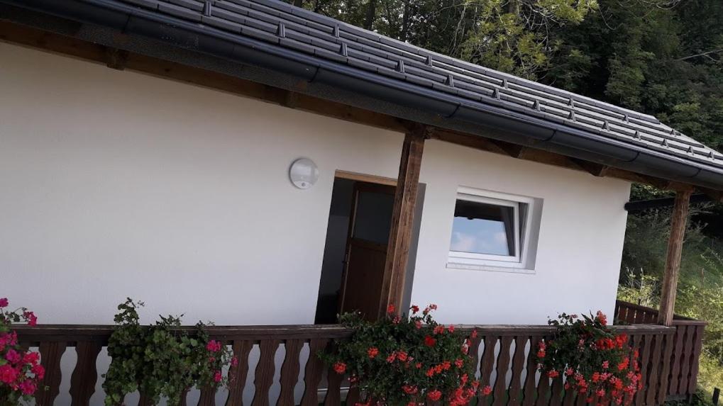 Apartmaji Gorenc Μπλεντ Εξωτερικό φωτογραφία