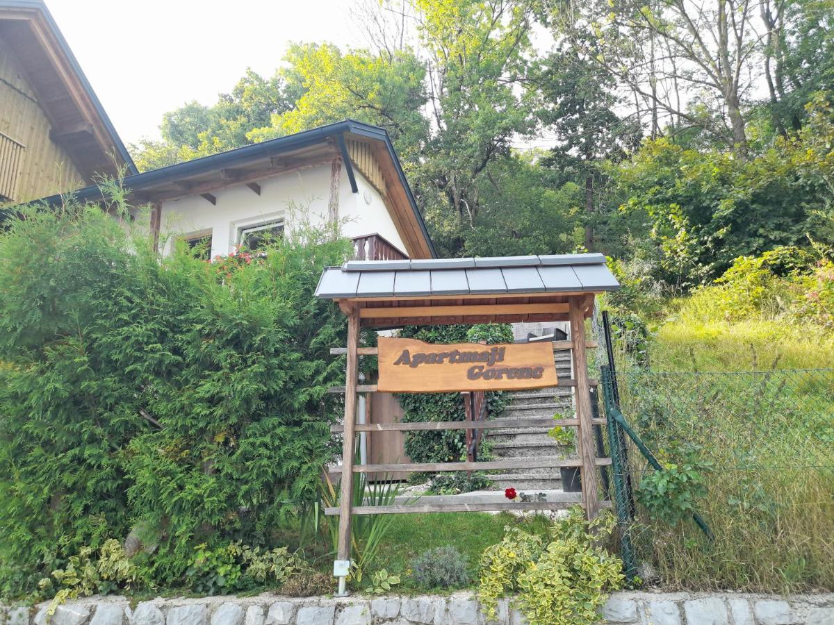 Apartmaji Gorenc Μπλεντ Εξωτερικό φωτογραφία